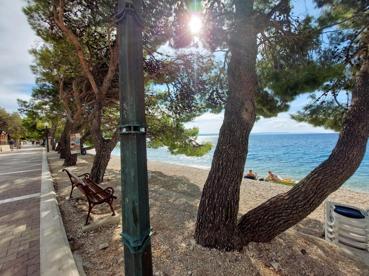 Sea & Sun Apartments Tučepi Zewnętrze zdjęcie